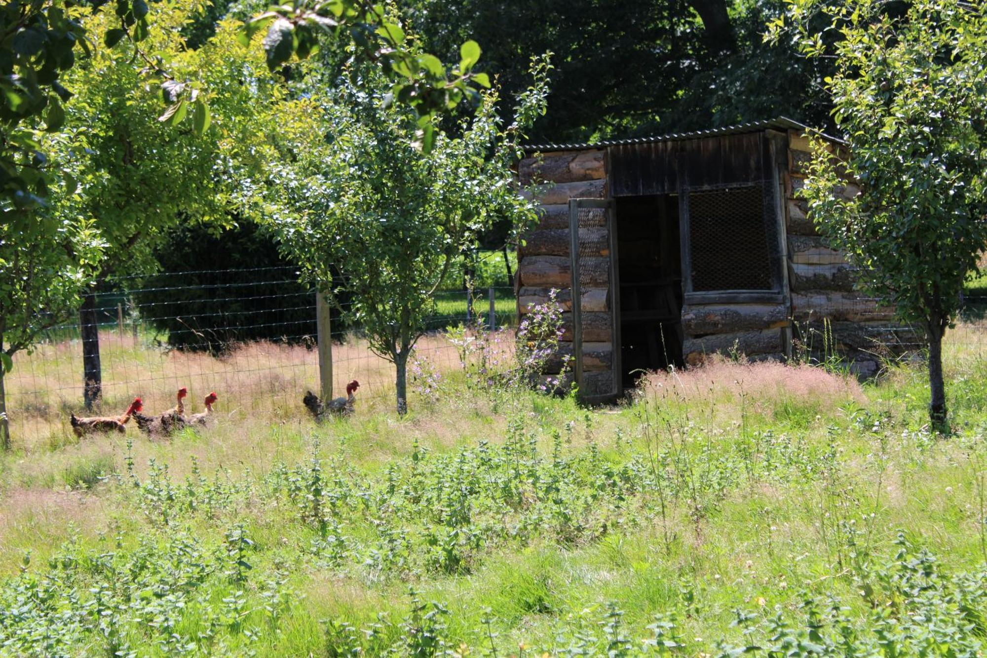 Ecogite Rural La Cle Des Champs Peyrelongue-Abos Quarto foto